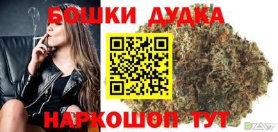 прущие крисы Гудермес