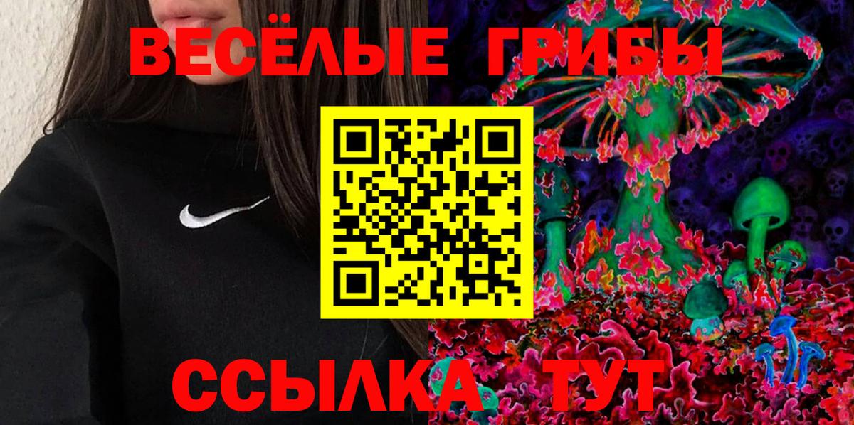 Кемерово  Псилоцибиновые грибы Psilocybe  Вход с VPN 